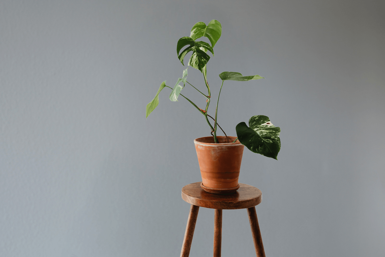 404: Water Not Found